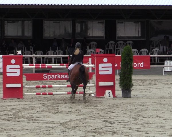 Reitturnier Vlotho-Exter 2020