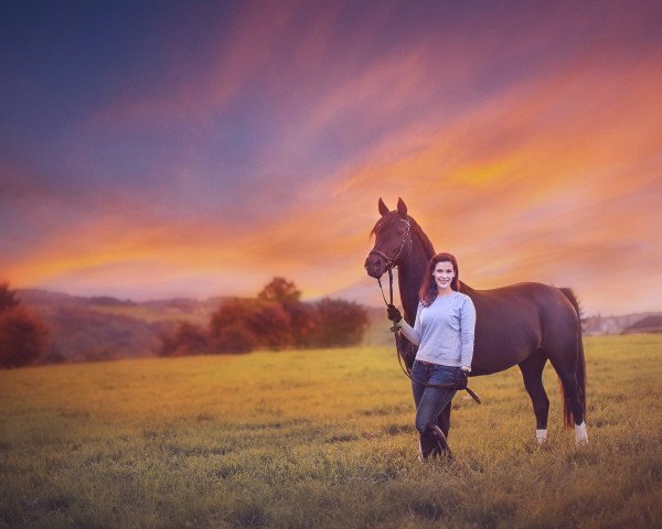 dressage horse Fürstin Freya von Fugger (Oldenburg, 2011, from Fürst Fugger)