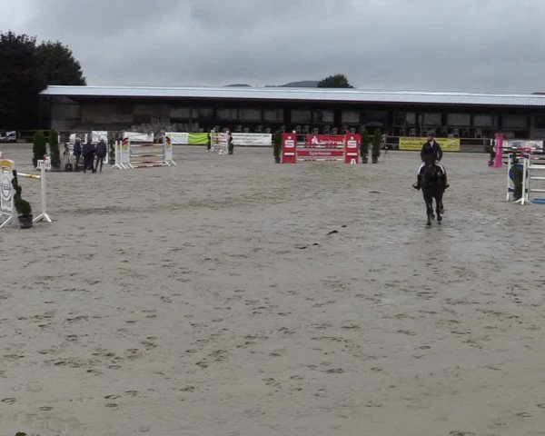 Reitturnier Vlotho-Exter 2020