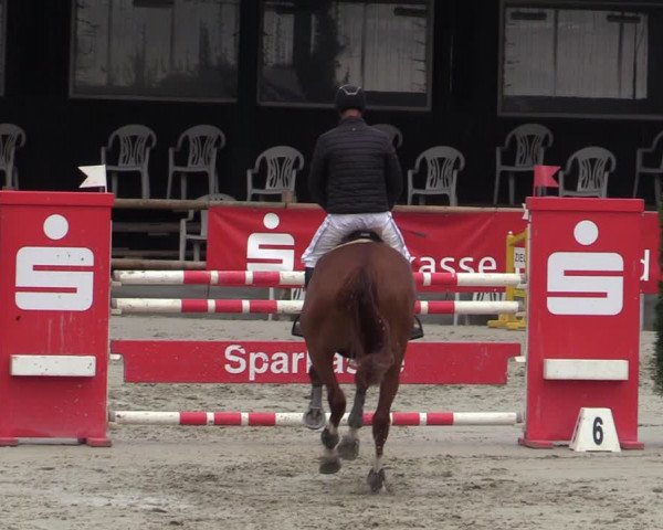 Reitturnier Vlotho-Exter 2020