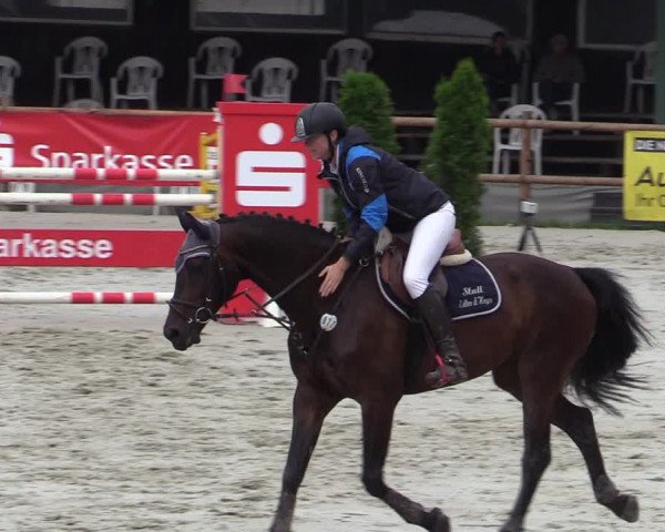 Reitturnier Vlotho-Exter 2020
