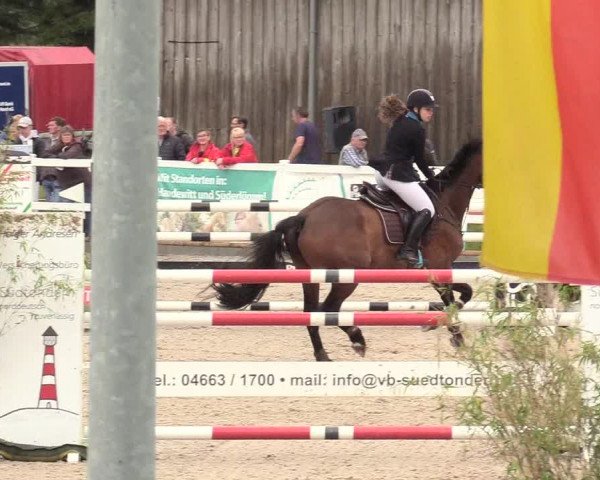 Reitturnier Ladelund 2020