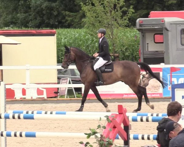 Reitturnier Ladelund 2020