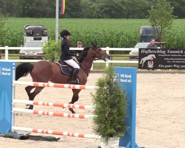 Reitturnier Ladelund 2020