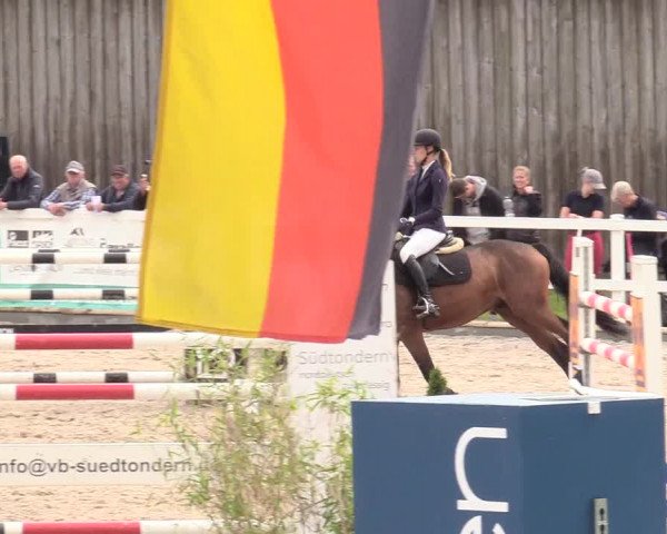 Reitturnier Ladelund 2020