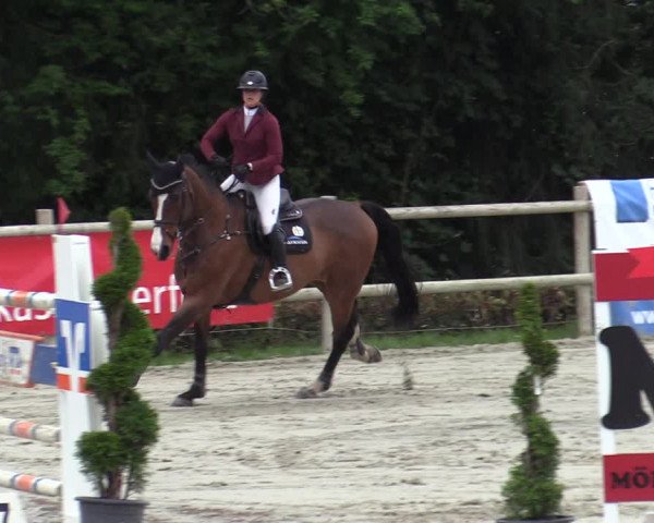 Reitturnier Vlotho-Exter 2020