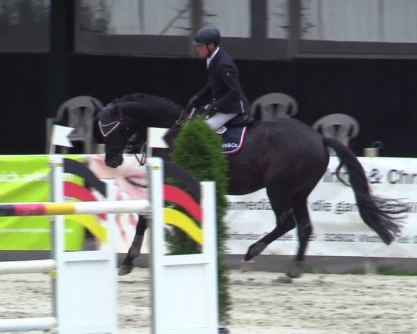 Reitturnier Vlotho-Exter 2020
