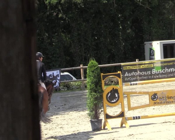 Reitturnier Vlotho-Exter 2020
