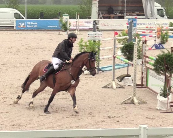 Reitturnier Ladelund 2020