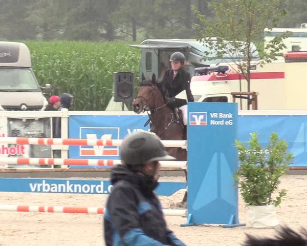 Reitturnier Ladelund 2020