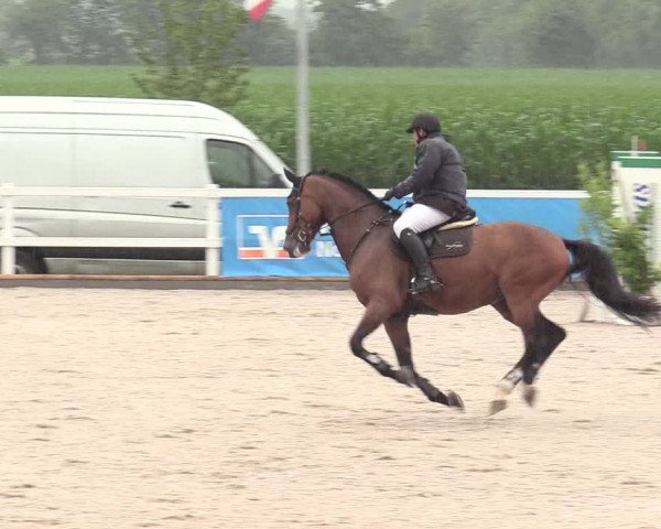 Reitturnier Ladelund 2020