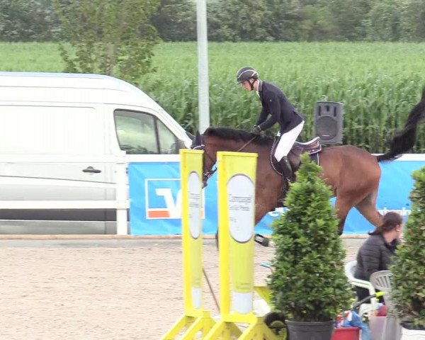 Reitturnier Ladelund 2020