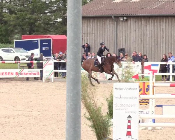 Reitturnier Ladelund 2020