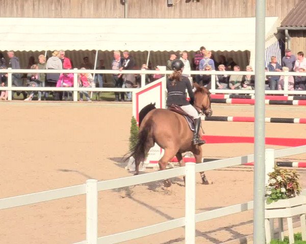 Reitturnier Ladelund 2020