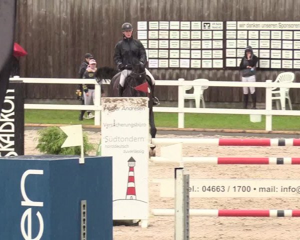 Reitturnier Ladelund 2020