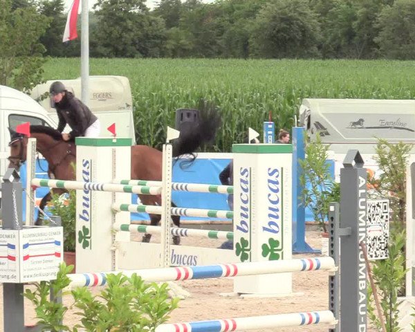Reitturnier Ladelund 2020
