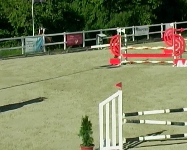 Reitturnier Aesch (Neftenbach) 2020