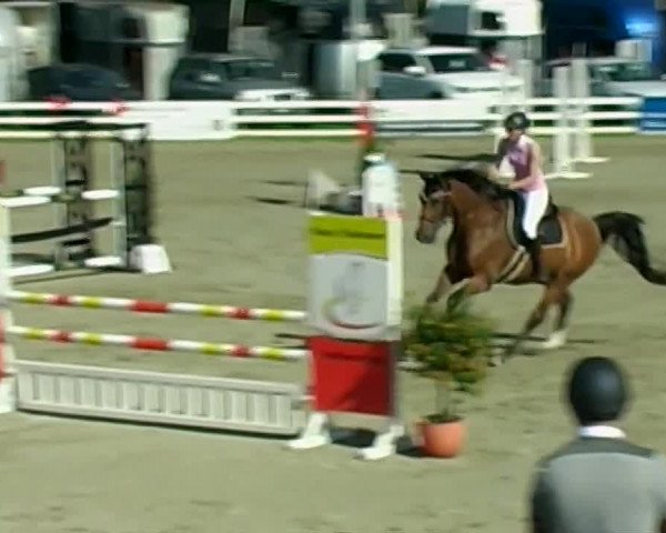 Reitturnier Aesch (Neftenbach) 2020