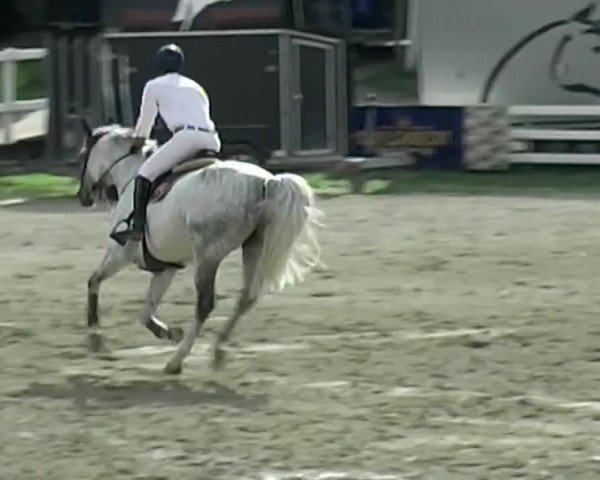 Reitturnier Aesch (Neftenbach) 2020