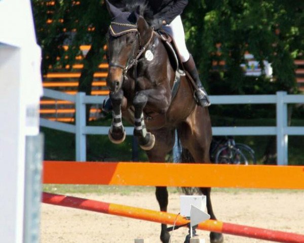 jumper Eddkar (Rhinelander, 2007, from Ephebe For Ever)