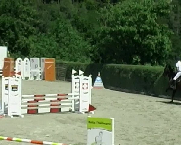 Reitturnier Aesch (Neftenbach) 2020