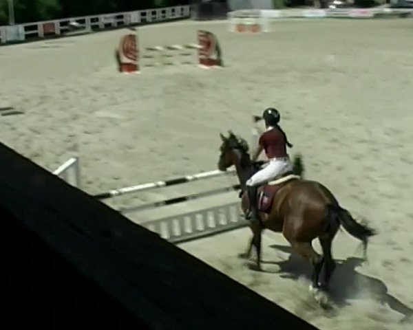 Reitturnier Aesch (Neftenbach) 2020