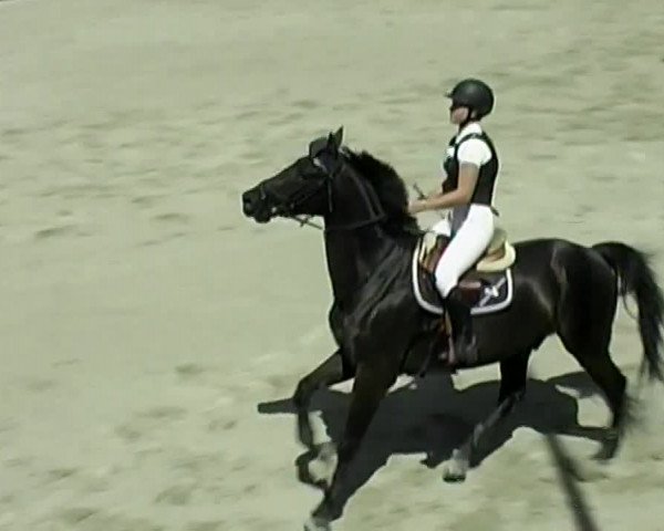 Reitturnier Aesch (Neftenbach) 2020