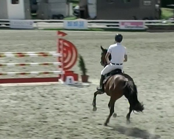 Reitturnier Aesch (Neftenbach) 2020