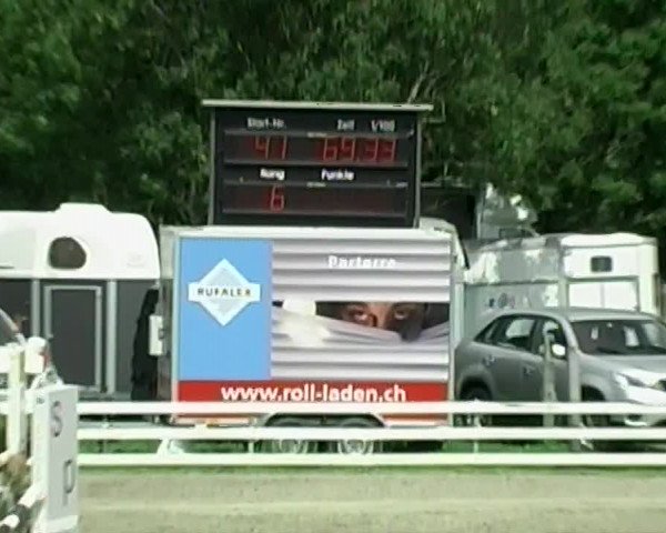 Reitturnier Aesch (Neftenbach) 2020