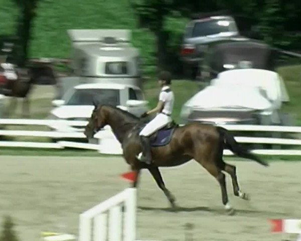 Reitturnier Aesch (Neftenbach) 2020