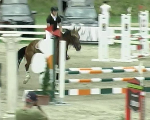 Reitturnier Aesch (Neftenbach) 2020