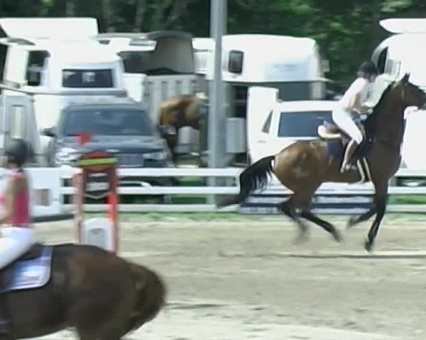Reitturnier Aesch (Neftenbach) 2020