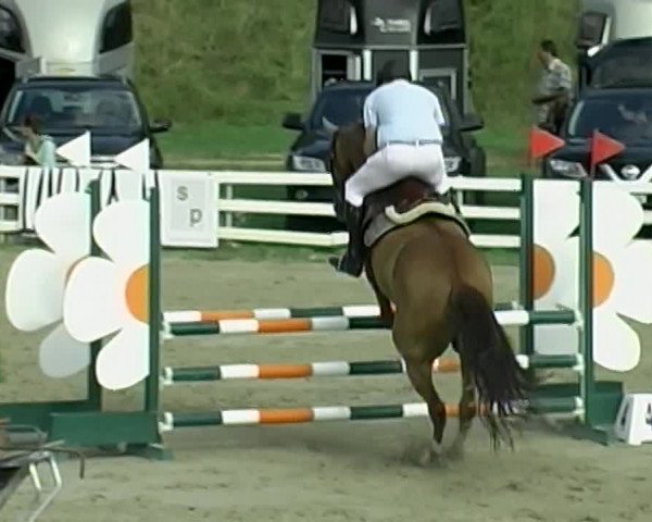 Reitturnier Aesch (Neftenbach) 2020