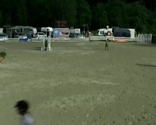 Reitturnier Aesch (Neftenbach) 2020