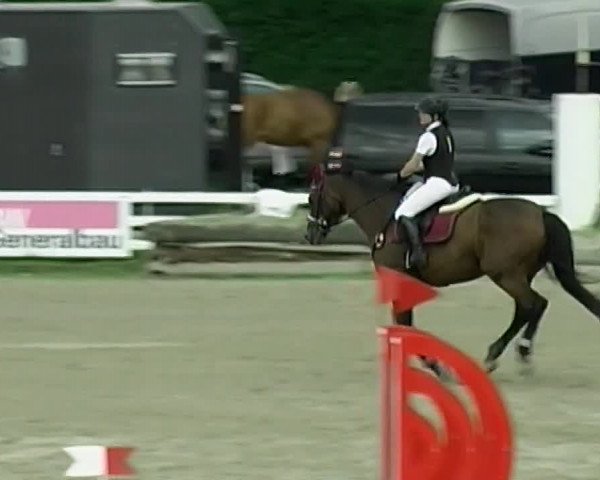 Reitturnier Aesch (Neftenbach) 2020
