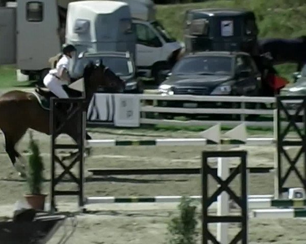 Reitturnier Aesch (Neftenbach) 2020