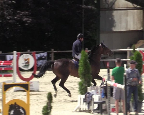 Reitturnier Vlotho-Exter 2020