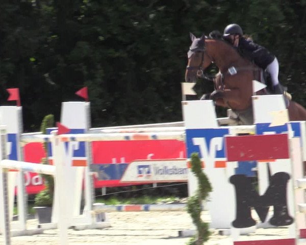 Reitturnier Vlotho-Exter 2020