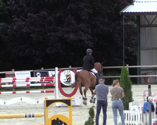 Reitturnier Vlotho-Exter 2020