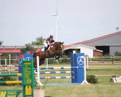 broodmare Angelique 360 (Holsteiner, 2008, from Clarimo Ask)