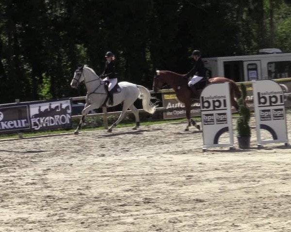 Reitturnier Vlotho-Exter 2020