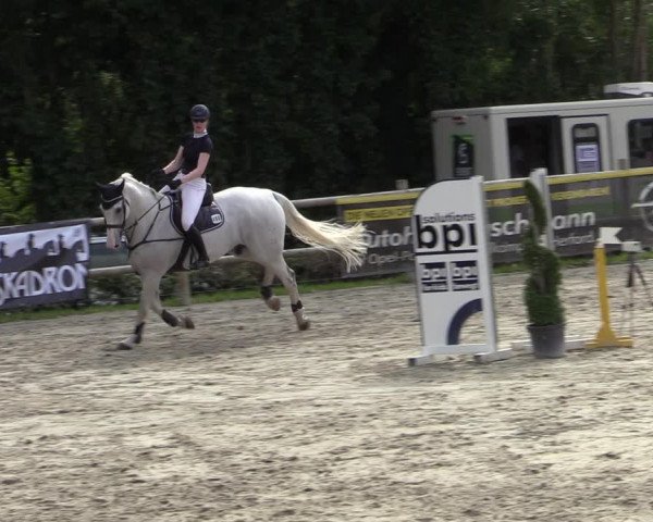 Reitturnier Vlotho-Exter 2020