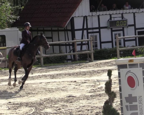 Reitturnier Vlotho-Exter 2020