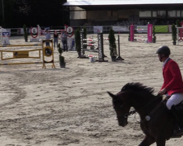 Reitturnier Vlotho-Exter 2020