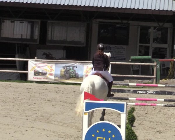 Reitturnier Vlotho-Exter 2020