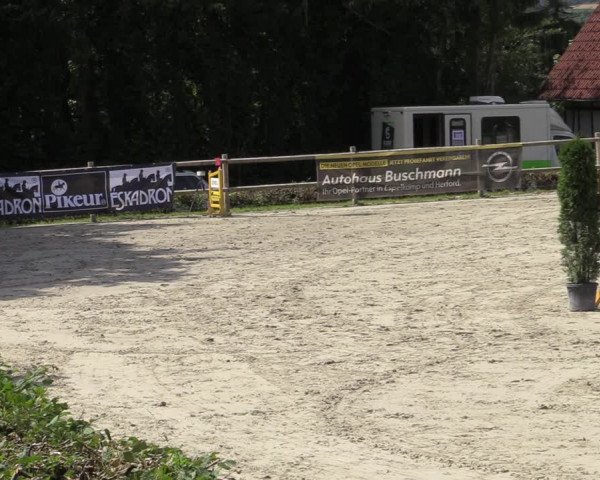 Reitturnier Vlotho-Exter 2020