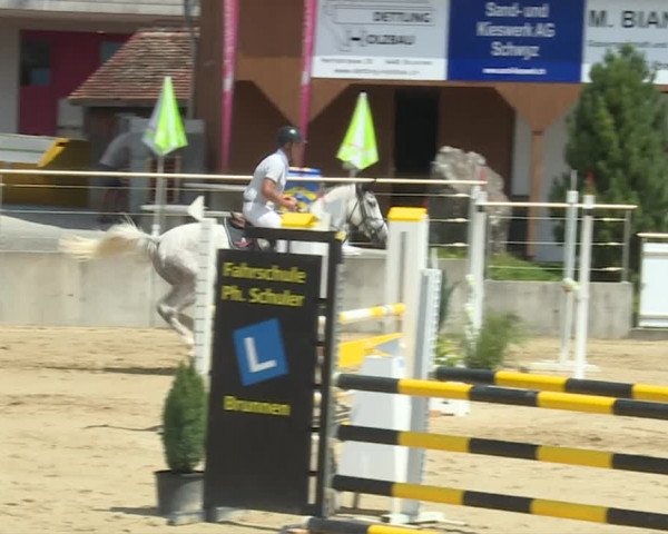 Reitturnier Schwyz 2020