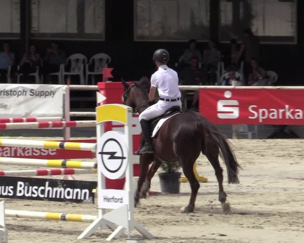 Reitturnier Vlotho-Exter 2020