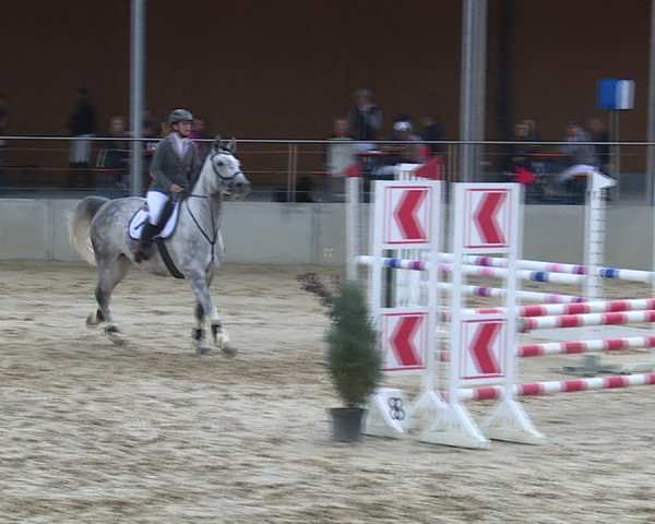 Reitturnier Schwyz 2020