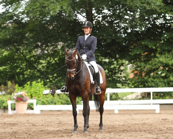 dressage horse Abahatschi 11 (Westphalian, 2005, from Abke 4)